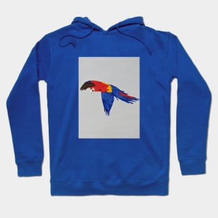 Macaw Hoodie